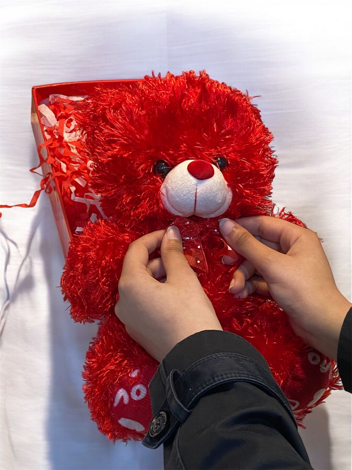 Valentine Red Teddy Bear